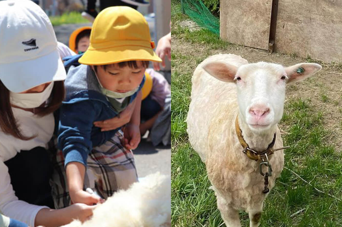 動物飼育